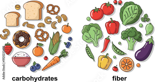 Carbohydrates and Fiber Rich Foods Comparison Healthy Balanced Diet Vector
