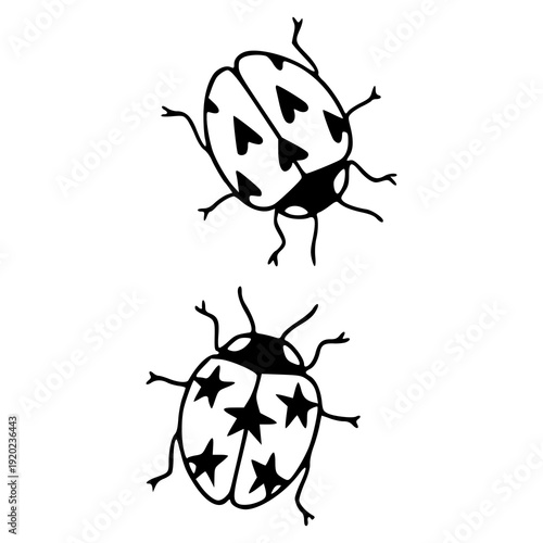 hand drawn ladybug beetle with heart and star patterns
