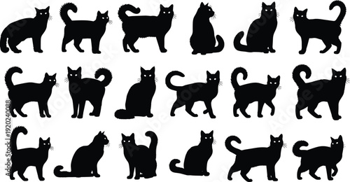 Black cat silhouettes collection featuring various standing and sitting feline poses isolated on white background, detailed domestic cat illustration set for Halloween and pet design