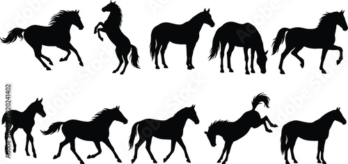 Horse silhouettes collection featuring running, rearing and grazing stallions isolated on white background, detailed equine illustration set showcasing wild and domestic horse poses