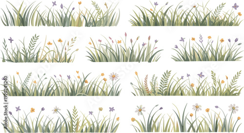 Wildflower meadow grass borders collection, spring floral plants and natural field elements isolated on white background, flat vector illustration