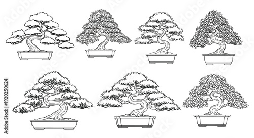 A collection of six detailed bonsai tree illustrations in black and white