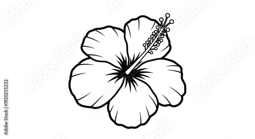 Detailed black and white illustration of a hibiscus flower silhouette