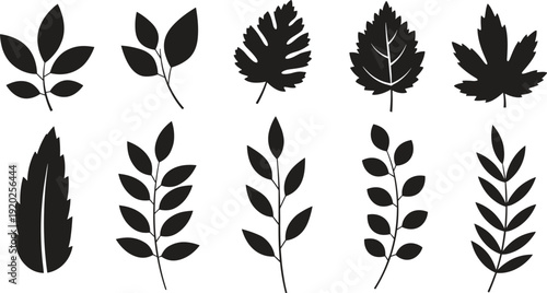 Collection of various leaf silhouettes on white background