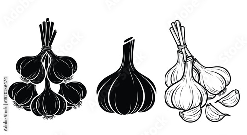 Three garlic bulbs in monochrome detailed illustration silhouette