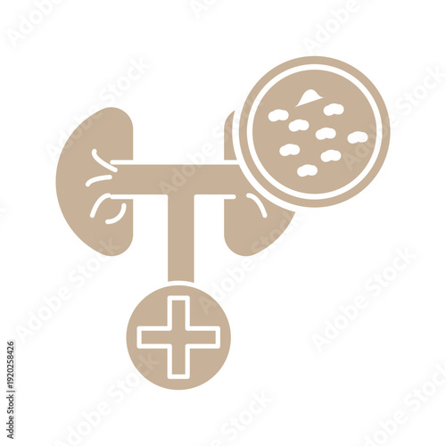 Line icon of kidneys with magnifying glass, symbolizing kidney examination, medical diagnosis, laboratory testing, and healthcare analysis.