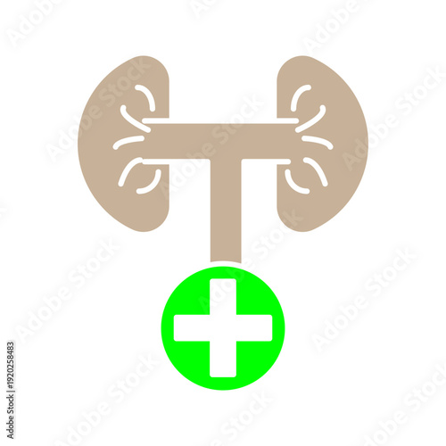 Minimal line icon of kidneys connected with a medical cross symbol, representing kidney health, medical treatment, and healthcare services.