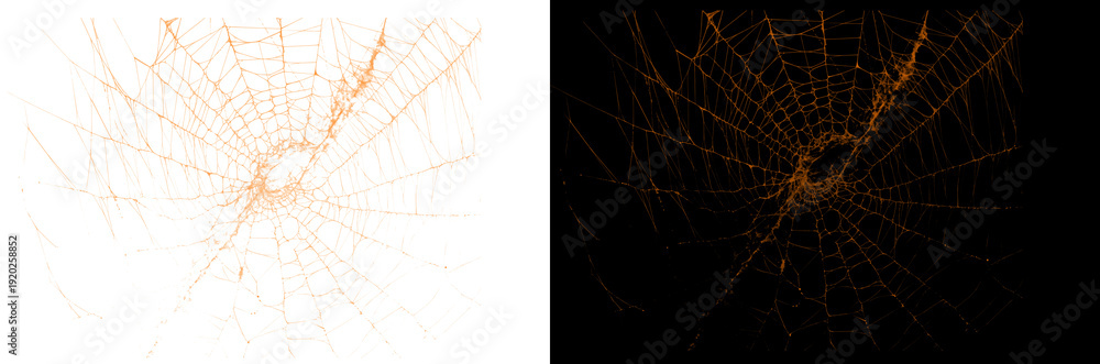 Obraz premium Dual-Exposure Spider Web: White vs Black Background