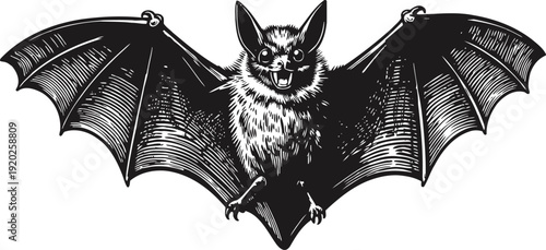 Flying bat illustration with spread wings in black and white vintage design