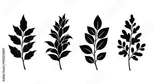 Intricate floral ornament design a striking black silhouette