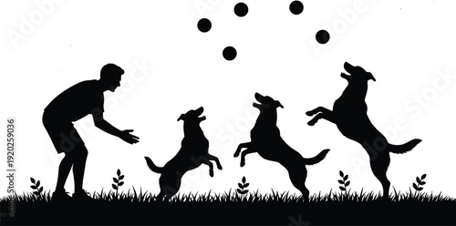 Man playing with dogs throwing balls in air