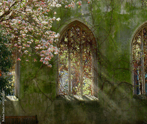 Schilderij op canvas Sunlight filtering through the window of an abandoned church