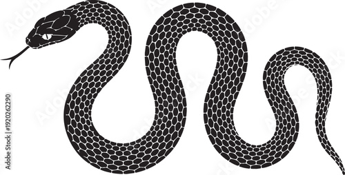 Vector elongated snake silhouette illustration. Black serpent isolated tattoo design.