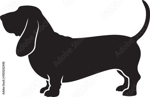 Vector black silhouette of a standing basset hound dog isolated on a white background.