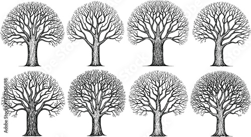 Collection of detailed hand drawn bare tree silhouettes with intricate branches isolated on white background for nature and landscape design.
