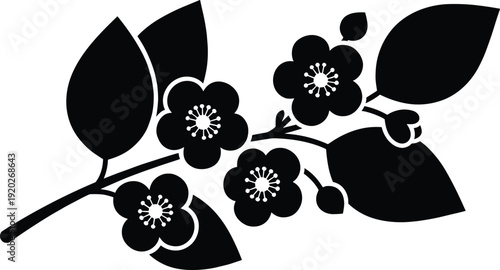 Beautiful black cherry blossom branch silhouette with flowers and leaves isolated on white background for wedding invitation card design and spring floral decoration.