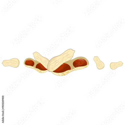 World Legumes Day, Illustration of Peanut in Shells 