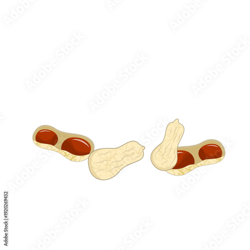 World Legumes Day, Illustration of Peanut in Shells 