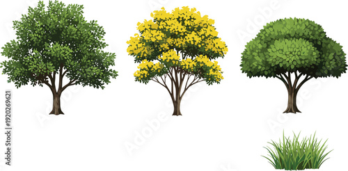 Set of Realistic Vector Tree Illustrations and Green Grass Isolated on White Background for Landscape Design Architectural Visualization Environment and Nature Projects