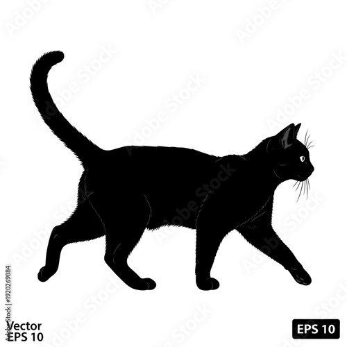 Photos Silhouette of a black cat walking in profile against a white background with elegant, minimal form
