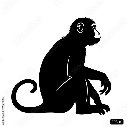 Black silhouette of a monkey sitting and looking to the right.