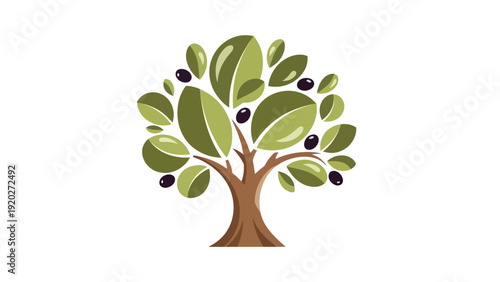 Olive Tree with Green Leaves.