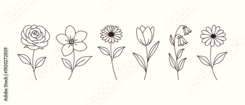 Minimal Floral Line Art Set with Hand Drawn Flowers and Leaves, Black and White Botanical Illustration Isolated on Light Background