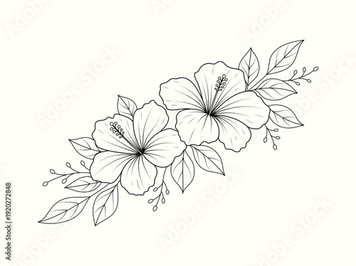 Elegant Floral Line Art Border with Hand Drawn Flowers and Leaves, Black and White Botanical Illustration Isolated on White Background