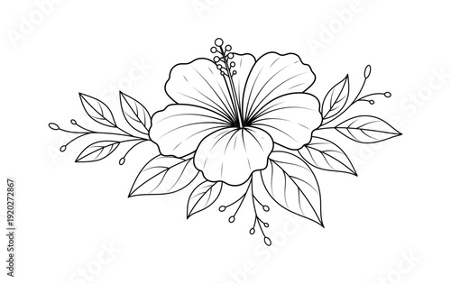 Hibiscus flower line art with leaves, elegant botanical illustration in black and white outline style