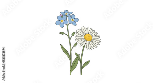 Watercolor Illustration of Forget Me Not and Daisy.