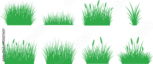 Green grass collection isolated on white background for landscape design, lawn elements set, nature meadow plants, flat vector illustration