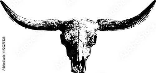 High contrast bull skull ink illustration for retro design