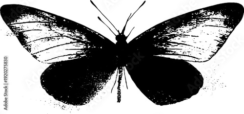 Black and white ink butterfly silhouette with banner design for vintage decor