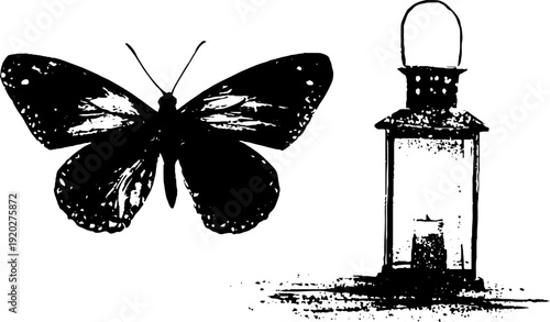 Butterfly and lantern in high contrast black and white ink design for art prints