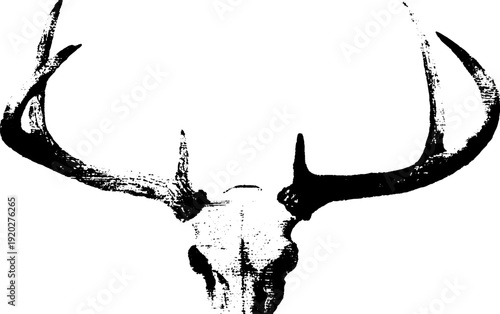 High contrast deer skull ink drawing featuring antlers in black and white