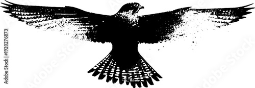 Minimalist falcon in high contrast black and white ink illustration