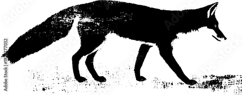 Fox with lantern in high contrast black and white ink illustration