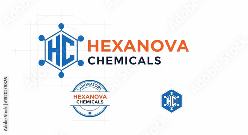 Hexanova Chemicals company logo designs with hexagonal molecular structure on isolated white background