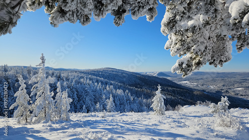 Winter snow-covered forest in clear sunny day. 










Beautiful mountain landscape