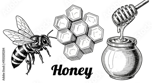 A bee collects nectar from a honeycomb, with a honey dipper dripping into a jar, showcasing the process of honey production in a detailed illustration.