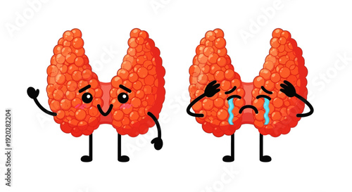 Two cartoon kidneys with different facial expressions standing on legs, one happy and one sad, illustrating contrasting emotions.