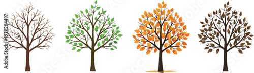 Four trees representing seasonal changes, winter bare branches, spring green foliage, autumn orange leaves, late autumn brown tones, nature cycle, seasonal landscape illustration