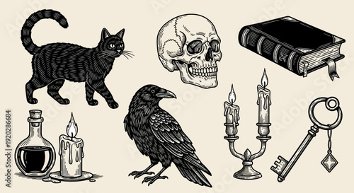 A mysterious black cat and raven surrounded by occult symbols and mysterious objects in a dark, gothic illustration from a close-up viewpoint.