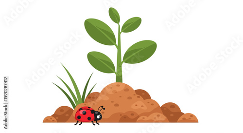 Ladybug on soil near a young plant with green leaves and grass