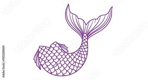 Illustration of a mermaid tail with scales and fins from a rear viewpoint