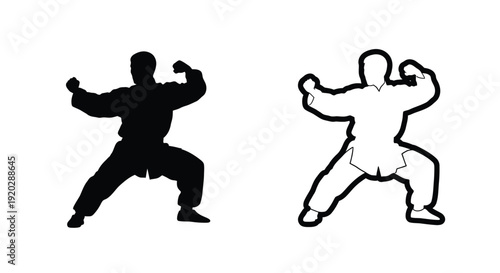 Silhouette of a martial artist in two contrasting styles