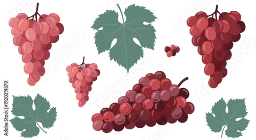 Clusters of red grapes and green leaves arranged in a visually appealing pattern on a clean background from a straightforward viewpoint