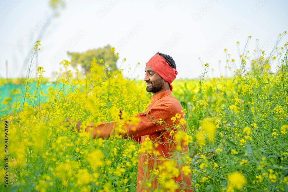 Fototapeta premium indian farmer standing at mustard agriculture field