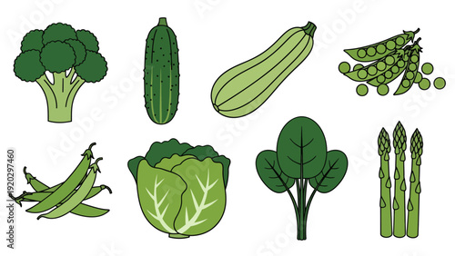Green Vegetable Icons Set Featuring Broccoli Cucumber Zucchini Green Peas Beans Cabbage Spinach and Asparagus in Flat Minimalist Vector Style for Healthy Diet.