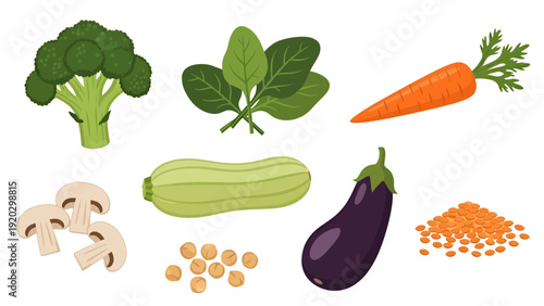 Fresh healthy vegetables illustration collection featuring broccoli, carrot, spinach, eggplant, zucchini, mushrooms, chickpeas and lentils on white background.